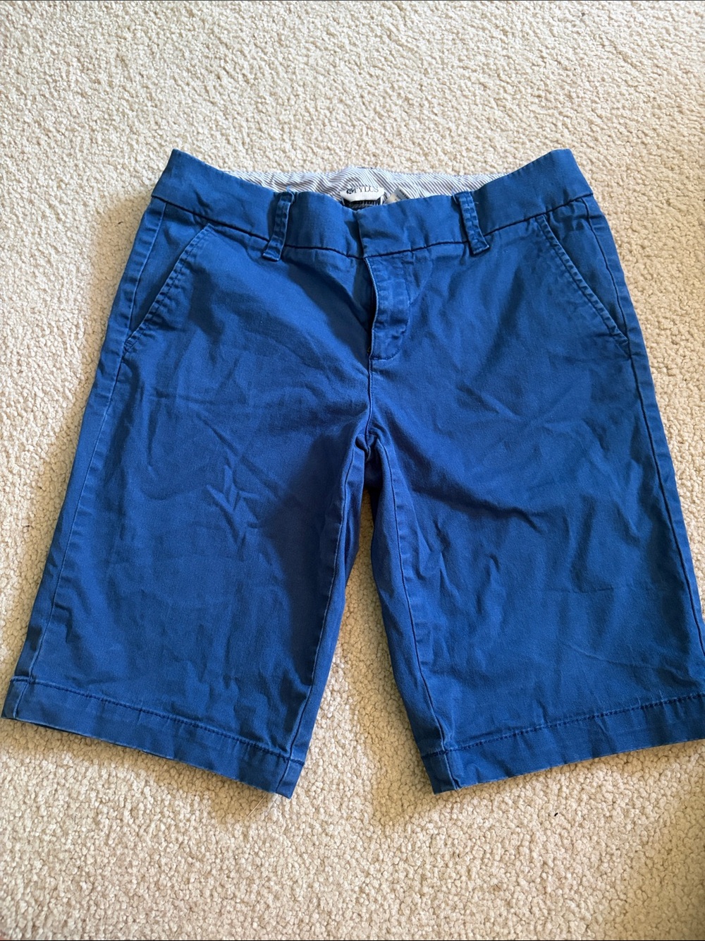 STYLUS Royal Blue Chino Bermuda Shorts